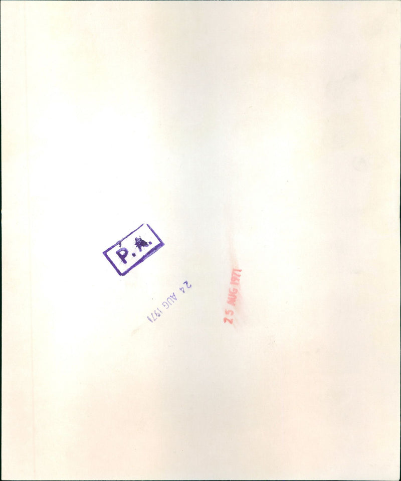 Olivia de Havilland - Vintage Photograph