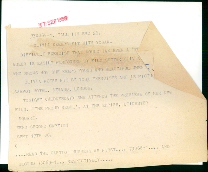 Olivia de Havilland - Vintage Photograph