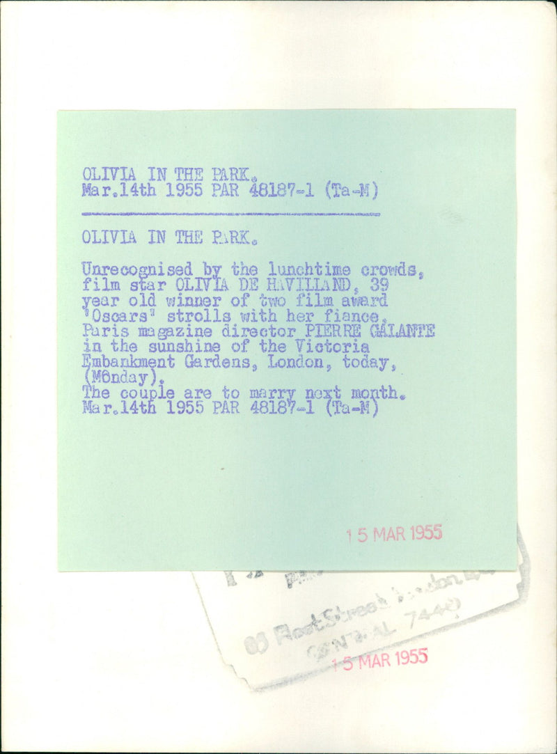 Olivia de Havilland - Vintage Photograph