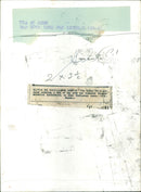 Olivia de Havilland - Vintage Photograph