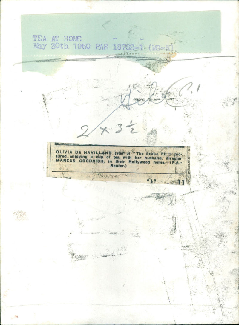 Olivia de Havilland - Vintage Photograph