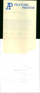 Olivia de Havilland - Vintage Photograph