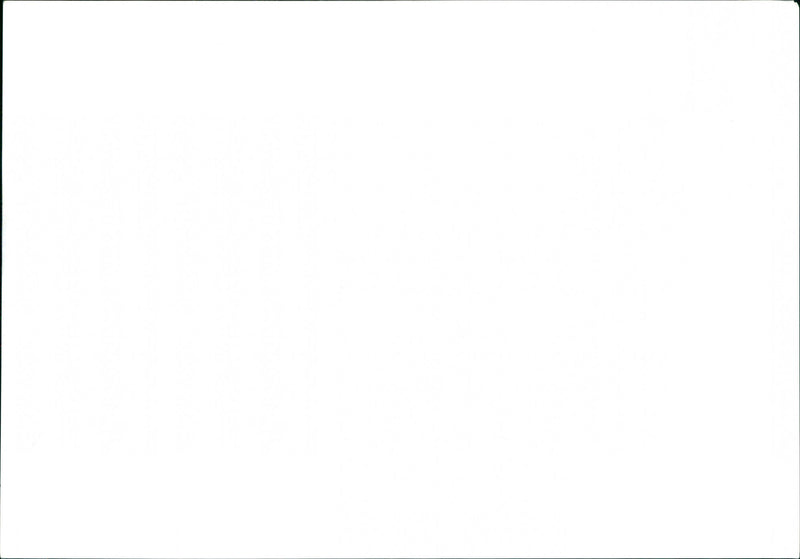 Dozy, Beaky, Mick & Tich - Vintage Photograph