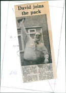 David Dee - Vintage Photograph