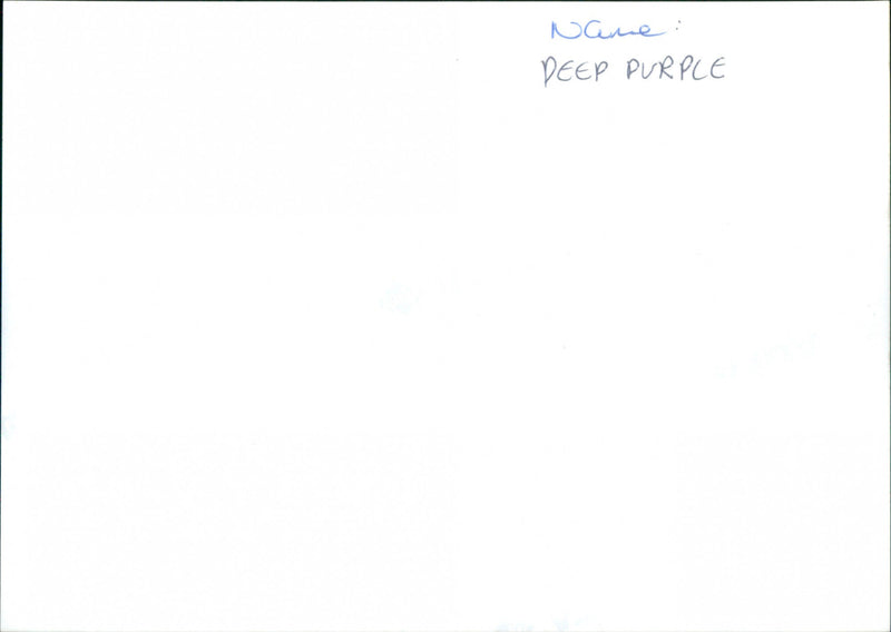 Deep Purple - Vintage Photograph