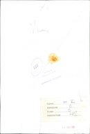 Dana - Vintage Photograph