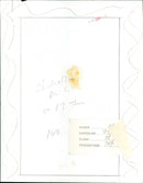 Dana - Vintage Photograph