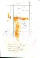 Dana - Vintage Photograph