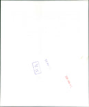 Cecil Day-Lewis - Vintage Photograph