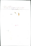 Dana - Vintage Photograph