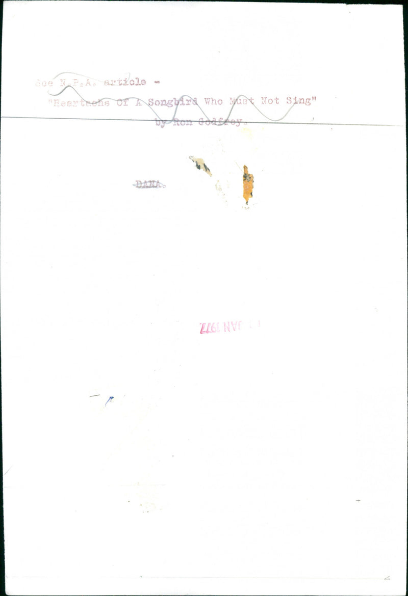 Dana - Vintage Photograph