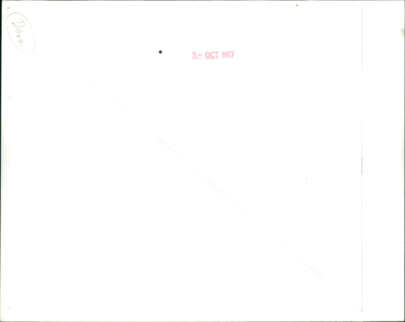 Dana - Vintage Photograph