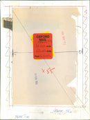 Dana - Vintage Photograph