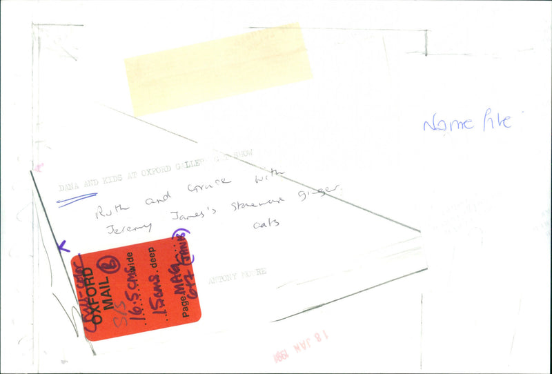 Ruth and Grace with Jeremy Jane's ginger cats - Vintage Photograph