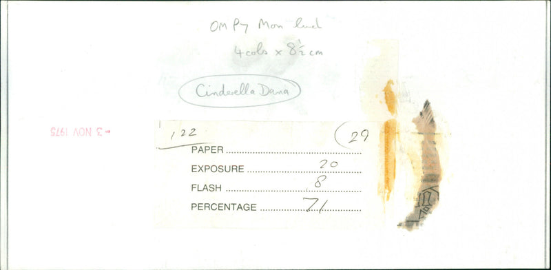 Dana - Vintage Photograph