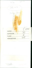 Dana - Vintage Photograph