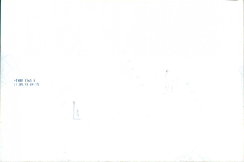 Alan Davidson - Vintage Photograph