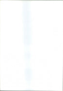 Damage - Vintage Photograph