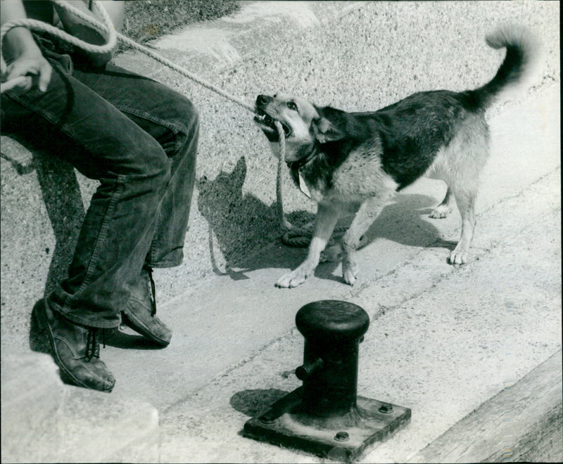 Lockeeper - Vintage Photograph