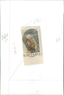 Ray Davies - Vintage Photograph