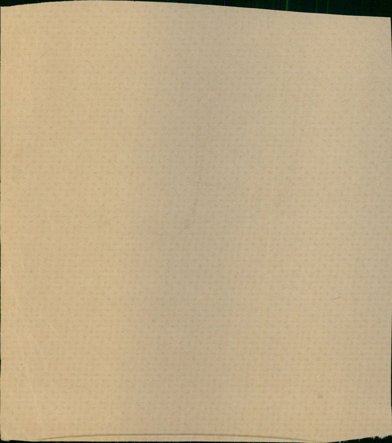 Davison Dell - Vintage Photograph