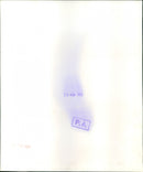 Terry Davis and wife Anne - Vintage Photograph