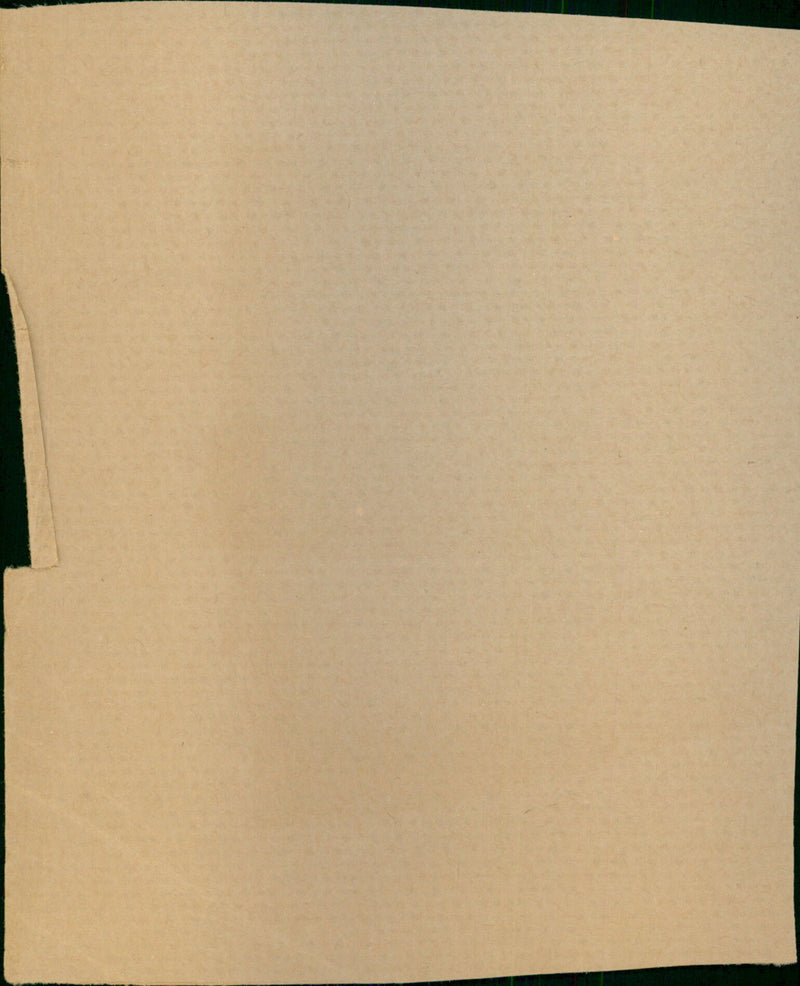 Davis Timothy - Vintage Photograph