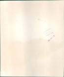 Prince Andrew - Vintage Photograph