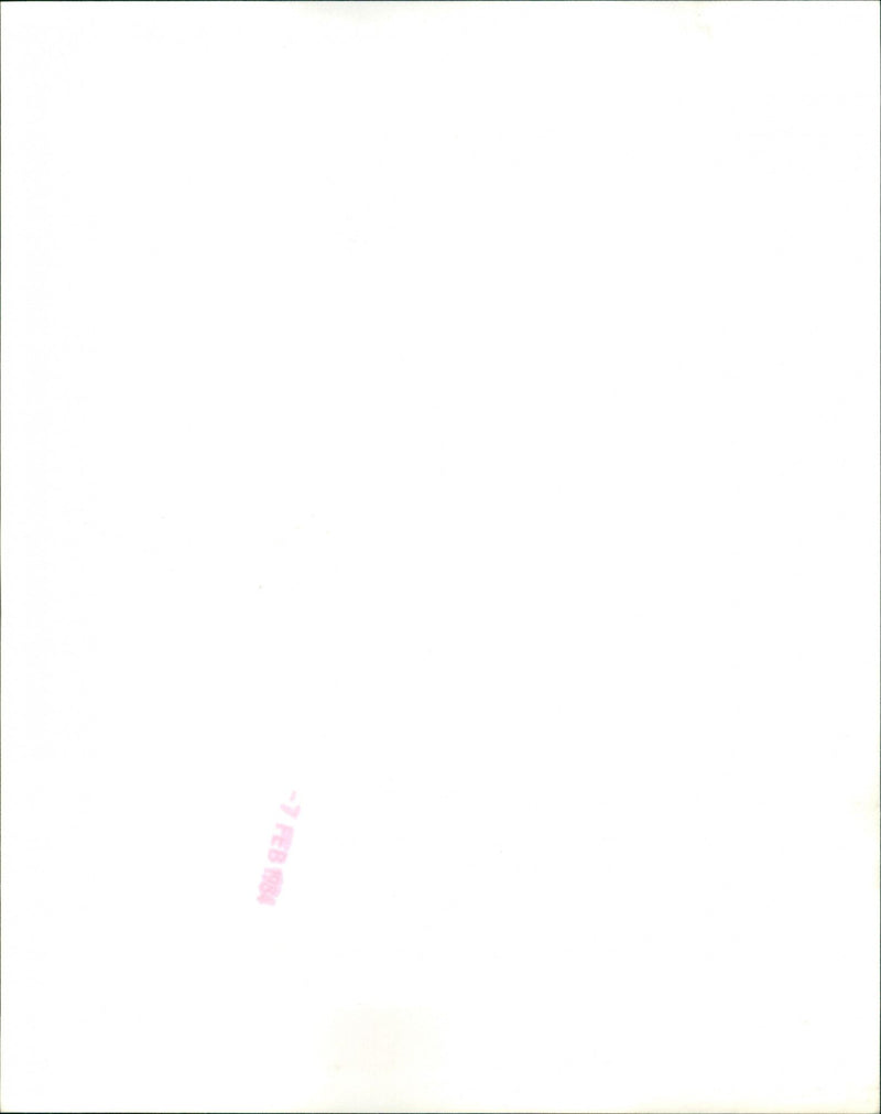 Def leppard - Vintage Photograph