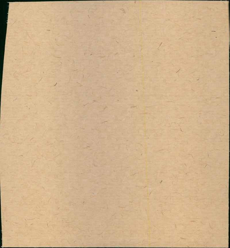 Def Leppard - Vintage Photograph