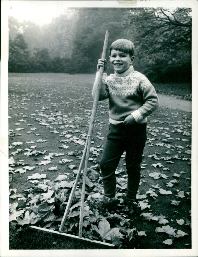 Prince Andrew, Duke of York - Vintage Photograph