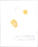 Sammy Davis - Vintage Photograph