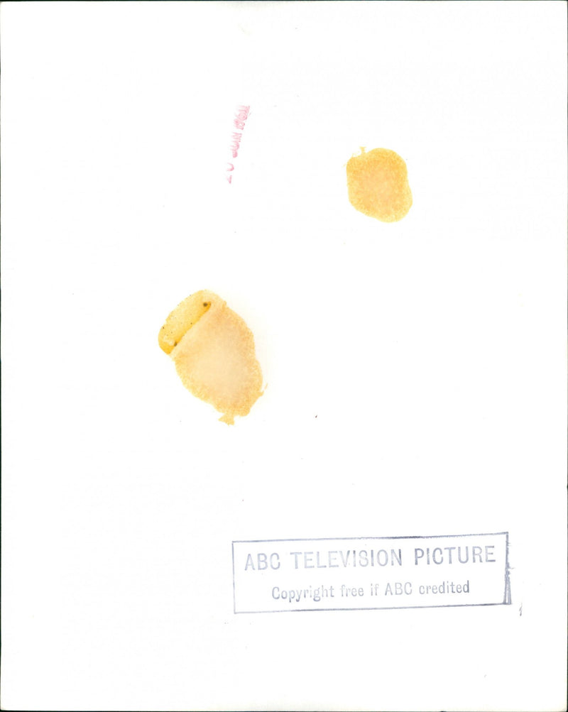 Sammy Davis - Vintage Photograph