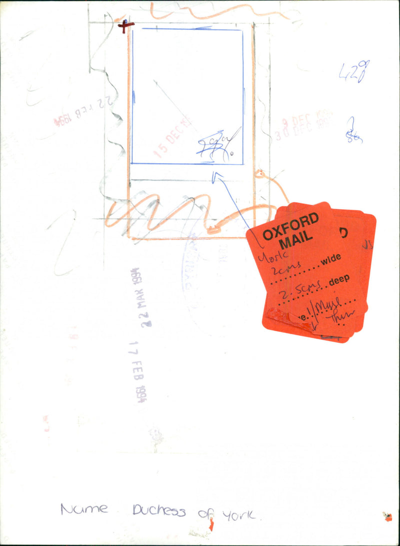 Sarah Ferguson - Vintage Photograph