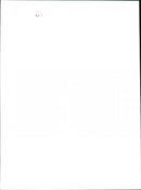 Sarah Ferguson - Vintage Photograph