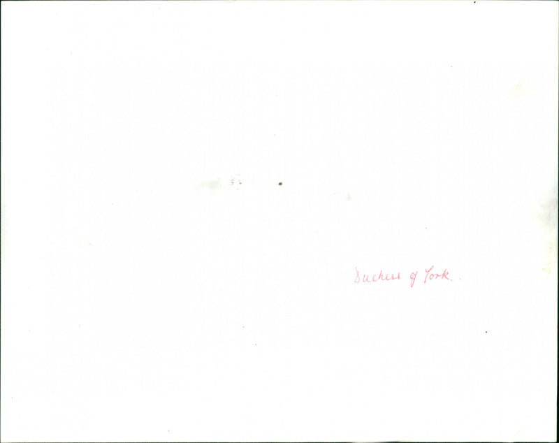 Sarah Ferguson - Vintage Photograph