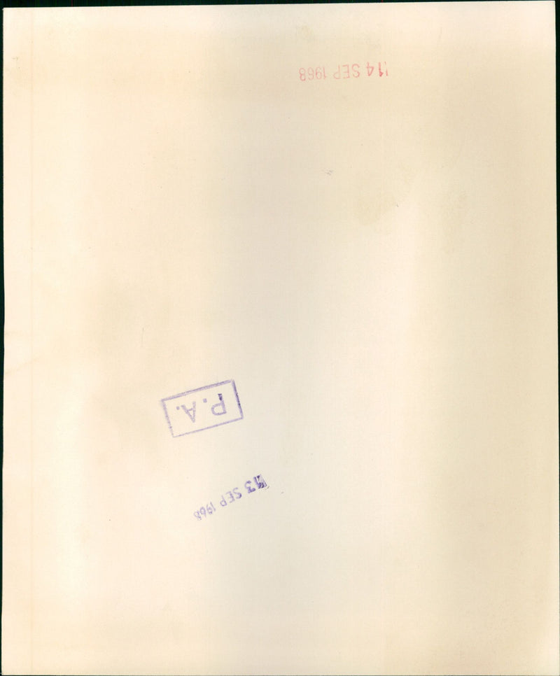 Prince Andrew - Vintage Photograph