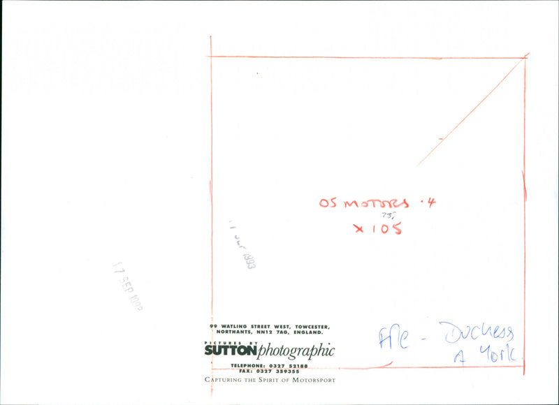 Sarah Ferguson - Vintage Photograph