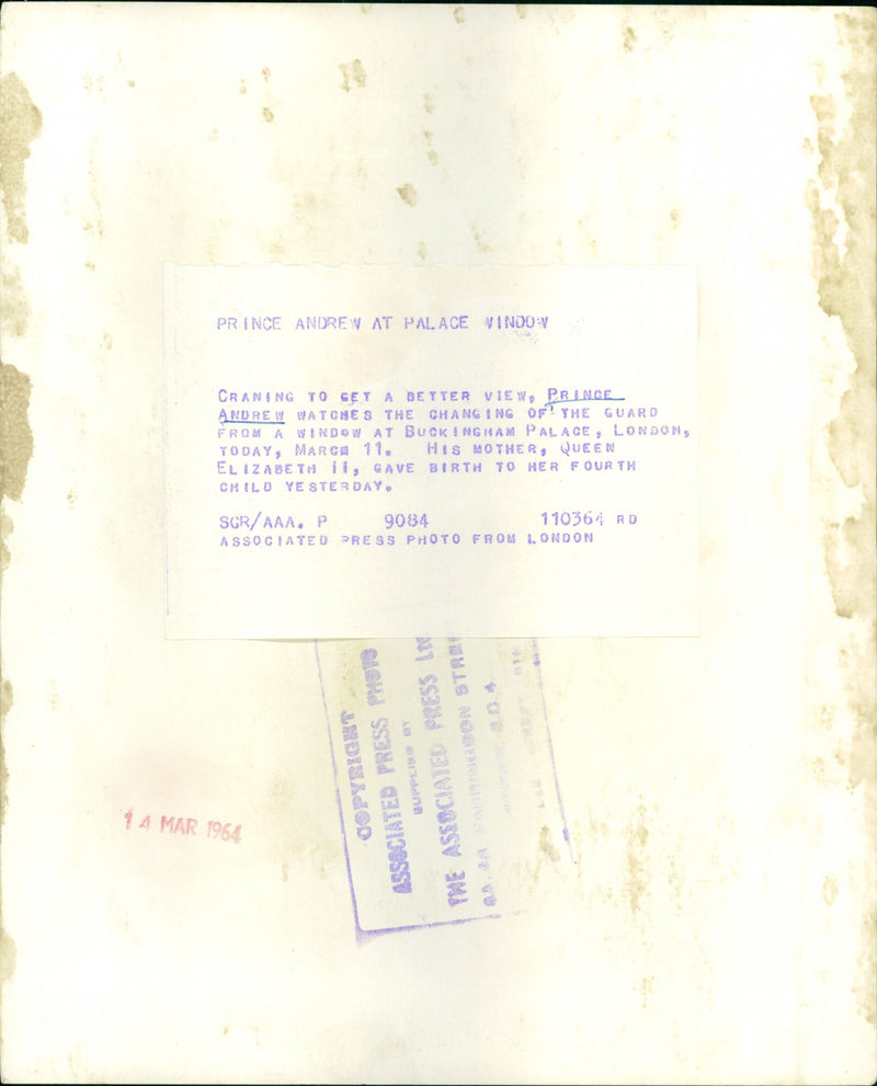 Prince Andrew - Vintage Photograph