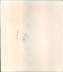 Sandi Jones - Vintage Photograph