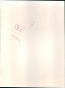 Prince Charles - Vintage Photograph