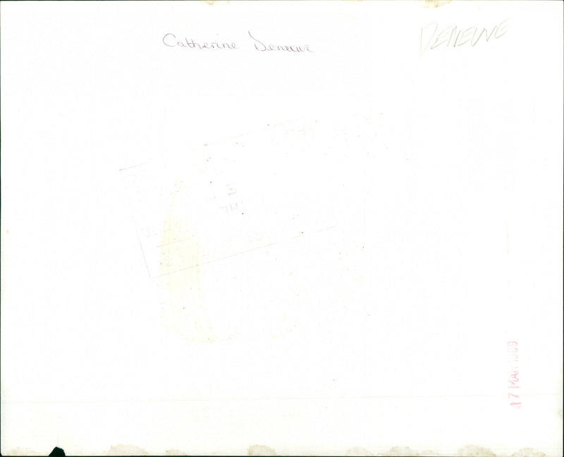 Catherine Deneuve - Vintage Photograph