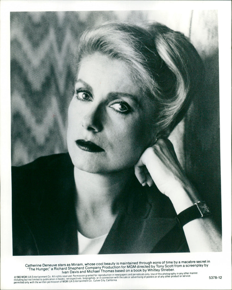 Catherine Deneuve - Vintage Photograph