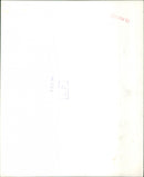 Catherine Deneuve and her husband David Bailey - Vintage Photograph