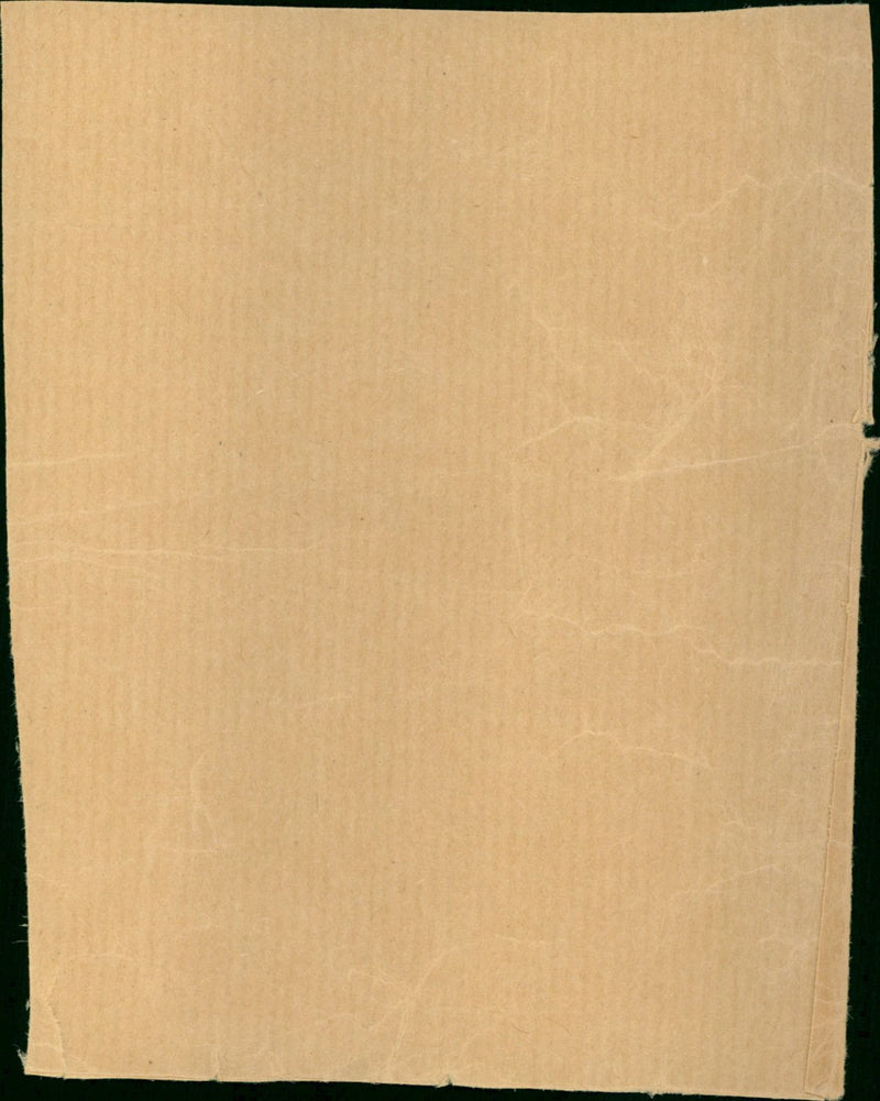 Catherine Deneuve - Vintage Photograph