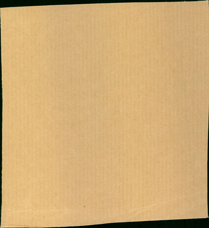 Martina Delaney - Vintage Photograph