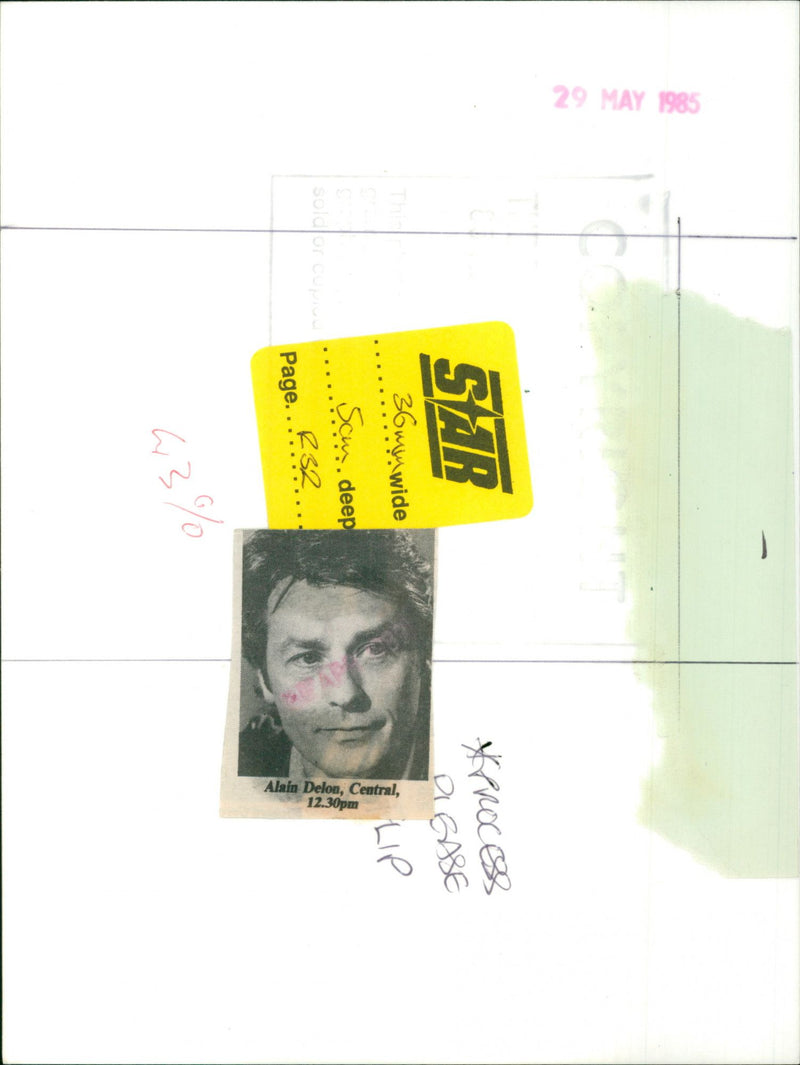 Alain Delon - Vintage Photograph