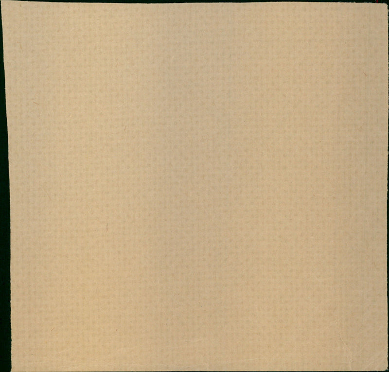 Dweezil Zappa - Vintage Photograph