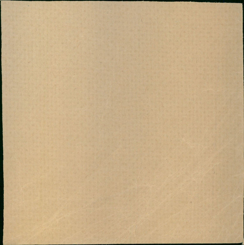 young bob - Vintage Photograph