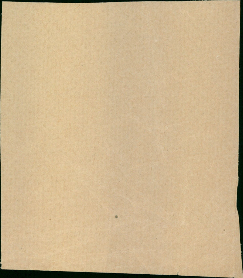 The Del Nevo Family - Vintage Photograph